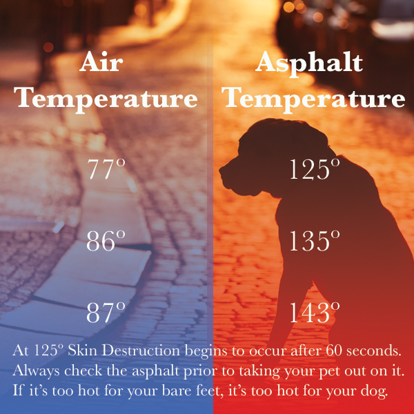 Hot Pavement doesn't require hot temperatures