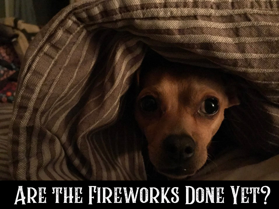 Dog hiding from fireworks
