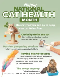 Cat Health
