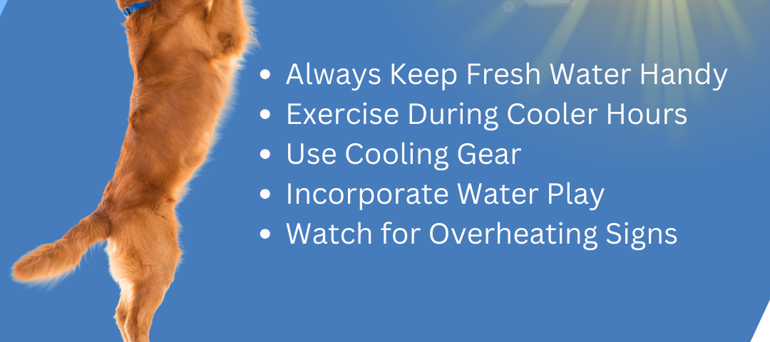 SUMMERTIME TIPS FOR YOUR PETS Always Keep Fresh Water Handy Exercise During Cooler Hours Use Cooling Gear Incorporate Water Play Watch for Overheating Signs